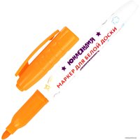 Набор маркеров Юнландия Colorway 152100 (10 шт)