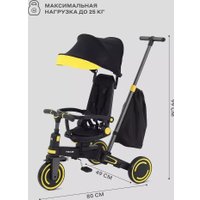 Детский велосипед MOWbaby Trixie MC055 (черный/золотой)