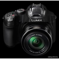 Фотоаппарат Panasonic Lumix DMC-FZ72