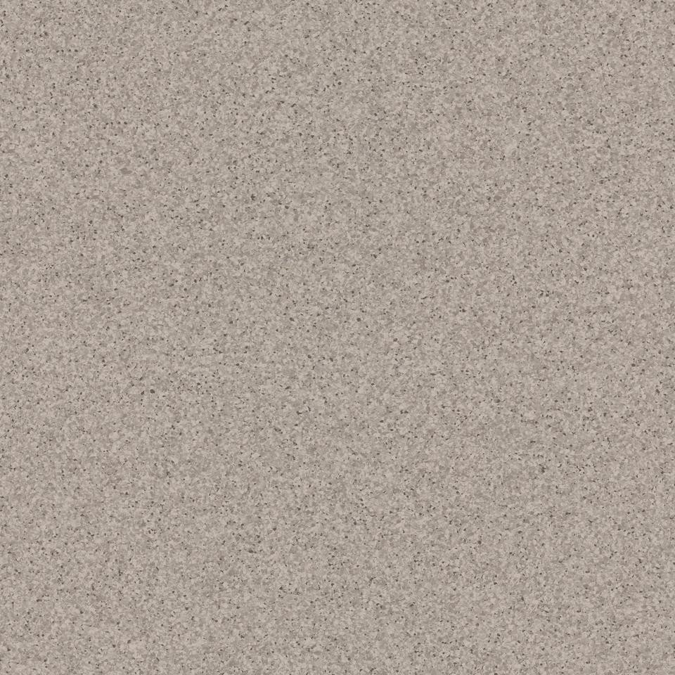 

Линолеум Tarkett Primo Plus 313 (2x4м)