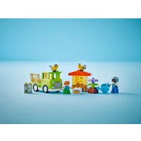 Конструктор LEGO Duplo 10419 Уход за пчелами и ульями