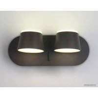 Бра Ambrella light Wall FW428 SGR