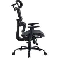 Офисное кресло Evolution ZenMesh Black (черный)