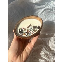 Ароматическая свеча chaos в кокосе (клюквенный лес)