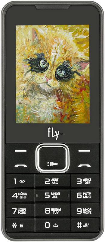 

Кнопочный телефон Fly FF243 Black