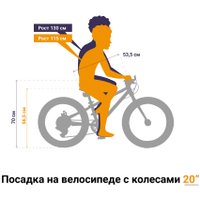 Детский велосипед Shulz Bubble 20 Race Plus 2023 (черный)