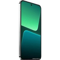 Телефон Xiaomi 13 Pro 12GB/256GB международная версия (светло-зеленый)