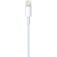 Кабель Apple USB 2.0 Type-A - Lightning (0.5 м, белый)