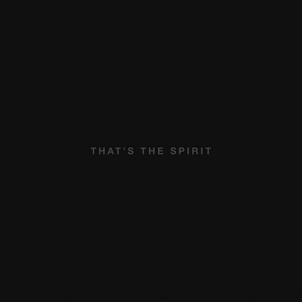 

Виниловая пластинка Bring Me The Horizon - That's The Spirit