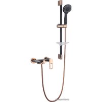 Душевой гарнитур  Vieir V293571-CL