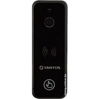 Вызывная панель Tantos iPanel 2 (черный)