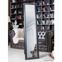 Зеркало Teroto Мэтсон A 40x170 (черный шелк)