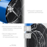Электрическая тепловая пушка Зубр Профессионал ТП-П30