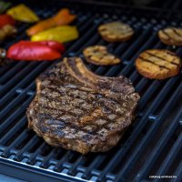 Газовый гриль для дачи Char-Broil Professional 3S