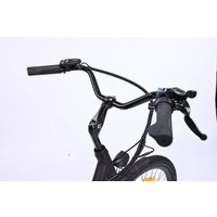 Электровелосипед MyWay Road 1.0 250 26 (17, черный антрацит)