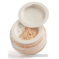 Хайлайтер Paese Mineral Highlighter 500N (6 г)