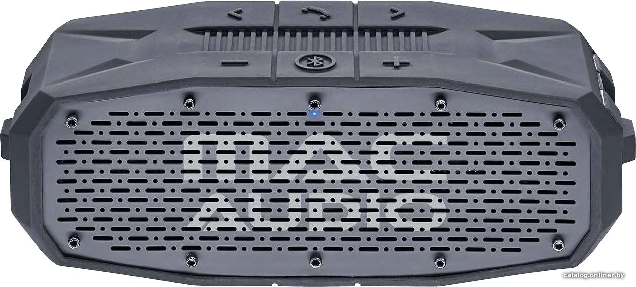 Беспроводная колонка Mac Audio BT Wild 601