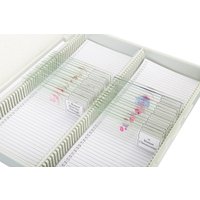 Набор микропрепаратов Bresser «Гистология», 30 шт., в кейсе 74558 в Орше