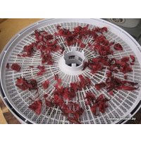 Лист сетчатый Волтера 1000Люкс (1 шт)