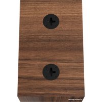 Внешний модуль объемного звука DALI Alteco C-1 (коричневый)