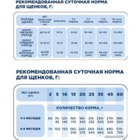 Сухой корм для собак Pet's Brunch Starter для щенков и кормящих с говядиной 4 кг