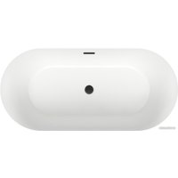 Ванна Wellsee Chalice Perfection 166x77 230601003 (отдельностоящая ванна белый глянец, экран, ножки, сифон-автомат матовый черный)