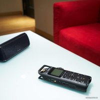 Диктофон Sony PCM-D10