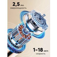 Электрическая беговая дорожка Willman T4400F (черный/красная)