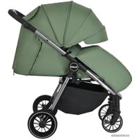 Коляска прогулочная «книга» Pituso Ruta (зеленый)