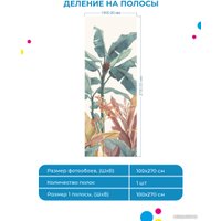 Фотообои ФабрикаФресок Тропические пальмовые листья 271270 (100x270)