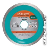 Отрезной диск алмазный  Sturm 9020-04-230x22-WC