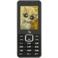 Кнопочный телефон Fly FF243 Black