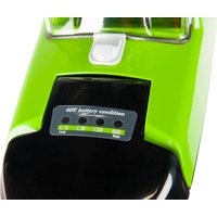 Лодочный мотор Greenworks G40TM55 (без АКБ и ЗУ)
