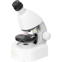 Микроскоп Levenhuk Discovery Micro Polar с книгой 77952