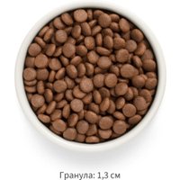 Сухой корм для собак Grandorf Adult Medium&Maxi Breeds Fresh Salmon&Sweet Potato 1 кг в Могилеве