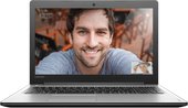 Lenovo IdeaPad 310-15IAP [80TT001WRA]