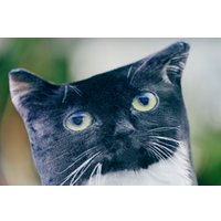 Игрушка-подушка Мальвина Чмоня кот мини