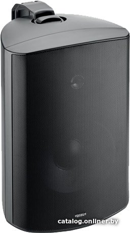 Настенная акустика Focal 100 OD8 (черный)
