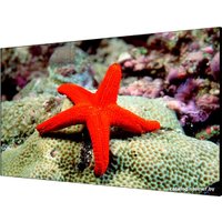 Информационная панель Hikvision DS-D2055LU-Y