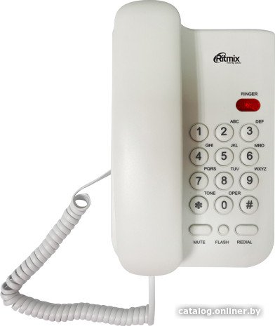 Ritmix RT-311 (белый)