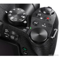 Фотоаппарат Panasonic Lumix DMC-FZ300