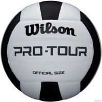 Волейбольный мяч Wilson Pro Tour Vb WTH20119X (5 размер, белый/черный) в Мозыре