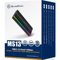 Бокс для накопителей M.2 SilverStone MS13