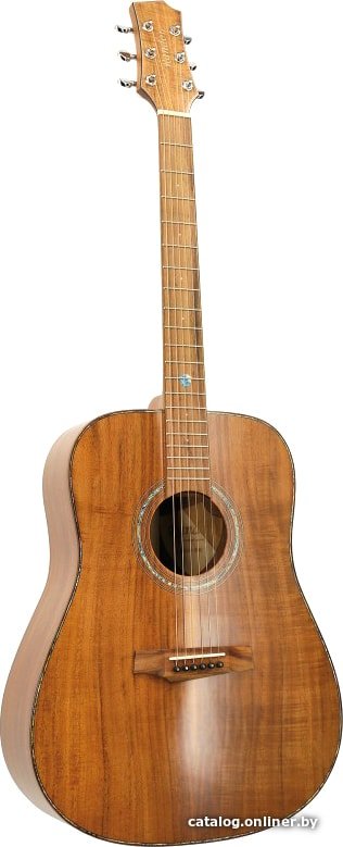 Акустическая гитара Randon RGI-500