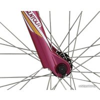 Велосипед Specialized Myka Step Through (2013)