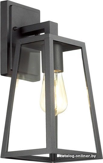 Уличный настенный светильник Odeon Light Clod 4169/1W