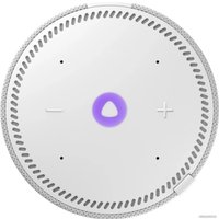 Умная колонка Яндекс Станция Мини 2 без часов (серый опал)