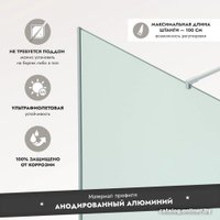 Душевая стенка Benetto BEN-602_SL_M 1000х2000 (серебро, матовое стекло)