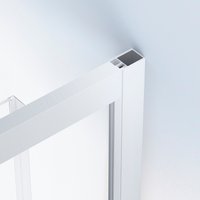 Душевая дверь Domani-Spa DoorCube 100x190 DS04DCb100L0M00.W в Мозыре