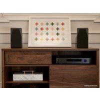 Интегральный усилитель Emotiva BasX TA-100